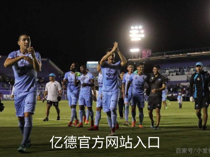 了解亿德官方网站入口